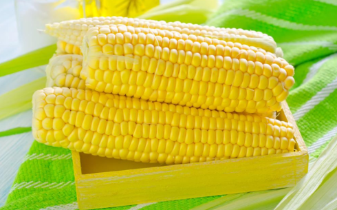 新手怎么做玉米期貨？玉米期貨交易