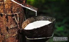 橡膠上漲仍可期，焦炭期現(xiàn)聯(lián)動，向