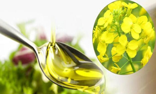 菜粕期貨買入手續(xù)費(fèi)支出額度低嗎？