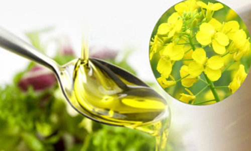 怎樣查菜油期貨價(jià)格？菜油期貨保證