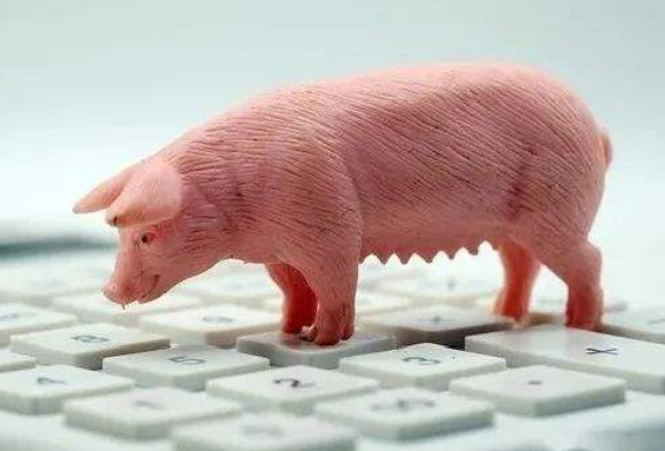 生豬期貨是什么？做一手生豬期貨最