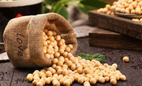 什么是豆粕期貨？豆粕期貨標的物介