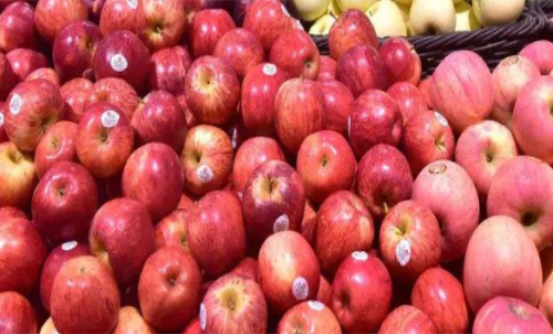 蘋果期貨的手續(xù)費(fèi)在平今倉會(huì)有優(yōu)惠