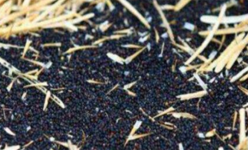 新手計(jì)算菜粕期貨的手續(xù)費(fèi)簡(jiǎn)單嗎？