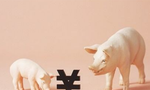 一手生豬期貨交易成本要多少錢？保