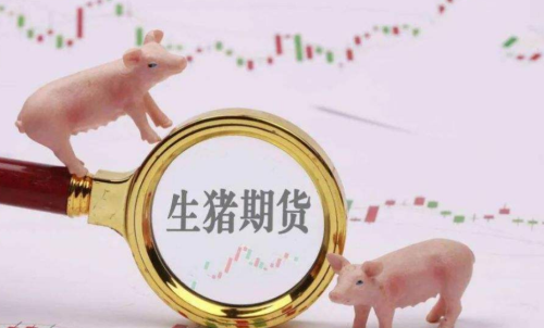 生豬期貨未來走勢將會如何？生豬期