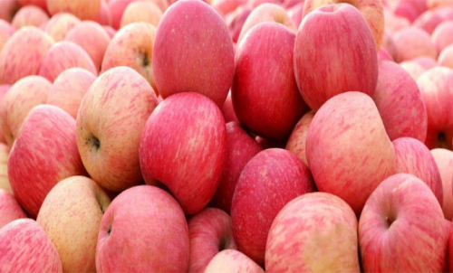 蘋果期貨是什么？怎樣交易蘋果期貨