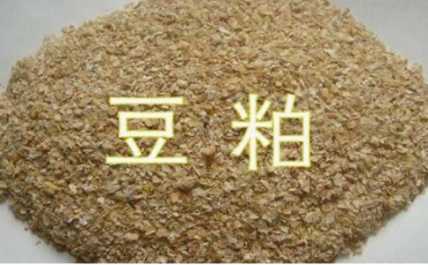 期貨豆粕和菜粕的關(guān)聯(lián)性，菜粕豆粕